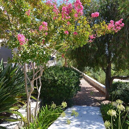 Hotel Les Eucalyptus ポルト・ポロ エクステリア 写真